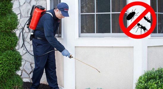 Kocaali Böcek ve Haşere İlaçlama böcek ilaçlama ve haşere kontrolü — ilaclama-tr.com